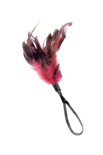 Sportsheets piros fekete toll cirógató